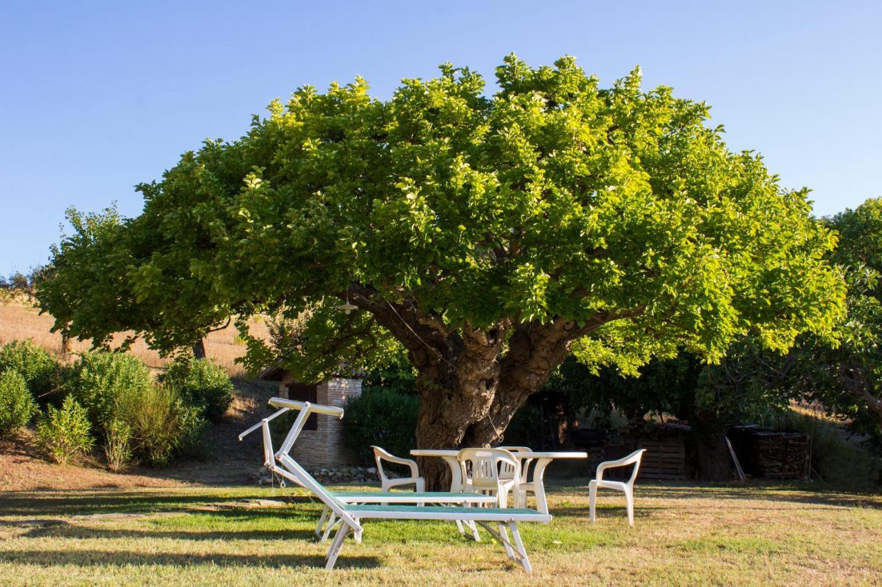 B&B Salvarosa Fano Εξωτερικό φωτογραφία