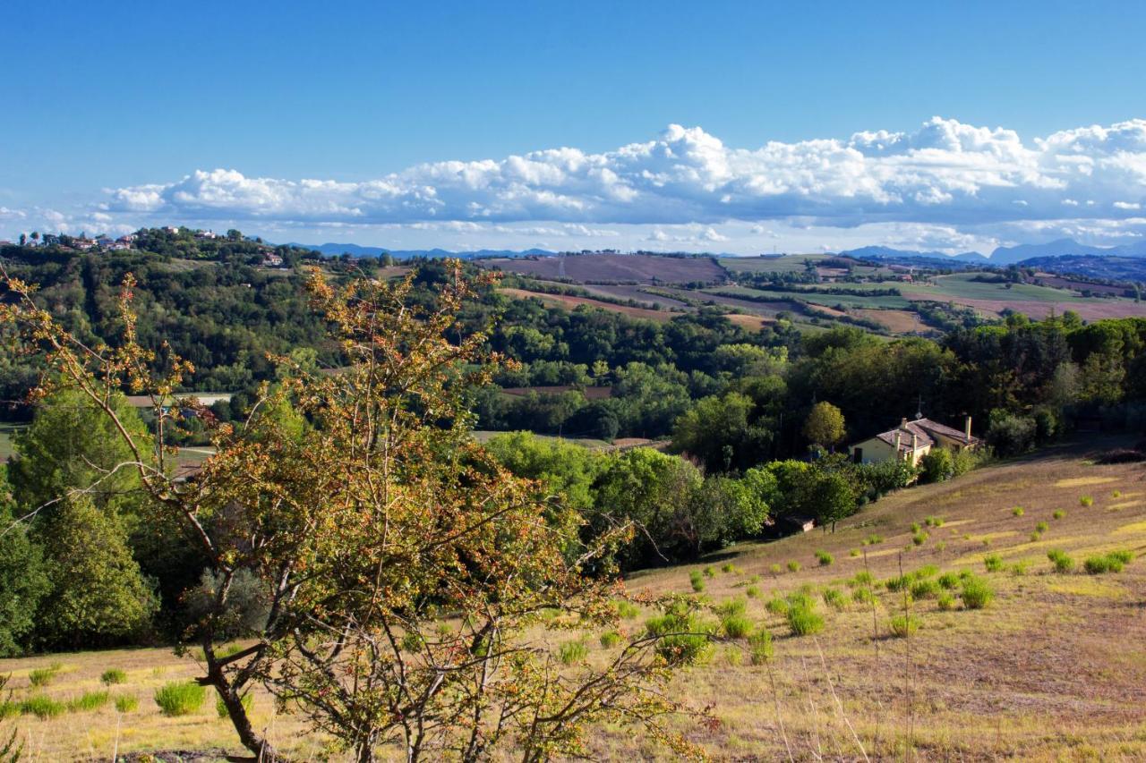 B&B Salvarosa Fano Εξωτερικό φωτογραφία